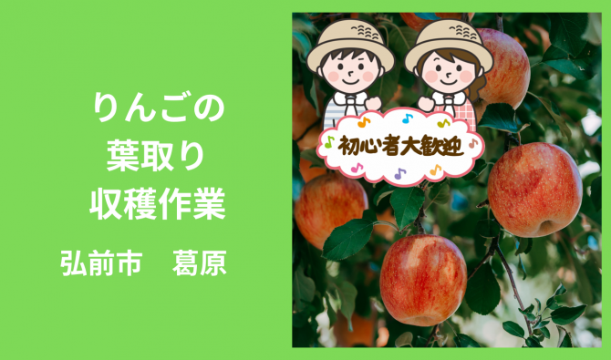 「「 デザイナーズファームさん」 弘前市 りんごの葉取り・収穫・倉庫内作業 8月お仕事カレンダー」のサムネイル