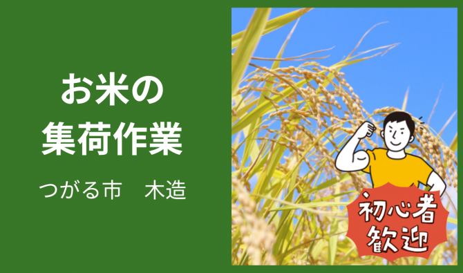「「 株式会社とのいちさん」つがる市 お米の集荷作業  １０月お仕事カレンダー」のサムネイル
