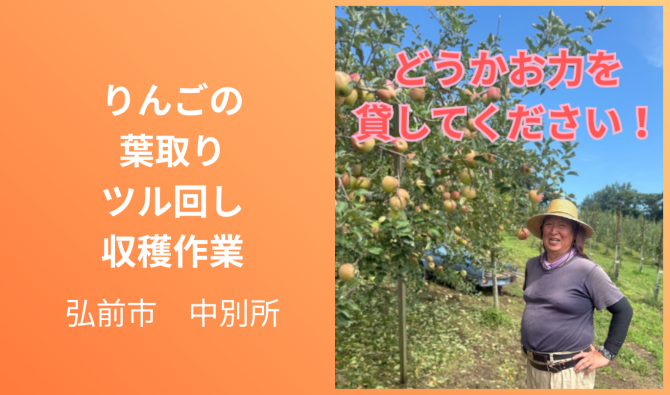 「「佐藤３３農園さん」弘前市 りんごの葉取り・ツル回し・収穫作業 9月お仕事カレンダー」のサムネイル