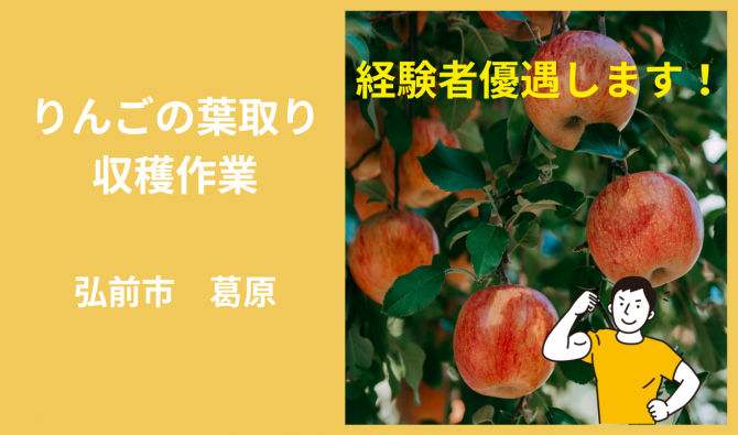 「「デザイナーズファームさん」弘前市 りんごの葉取り・収穫・倉庫内作業 9月お仕事カレンダー」のサムネイル