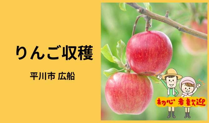 「「 🍎美味しい外川農園さん」平川市 りんごの葉とり＆収穫作業 10月お仕事カレンダー」のサムネイル