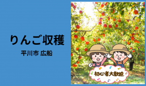「「 アップルファーム・イリカさん」平川市 りんごの葉とり・収穫作業  9月お仕事カレンダー」のサムネイル