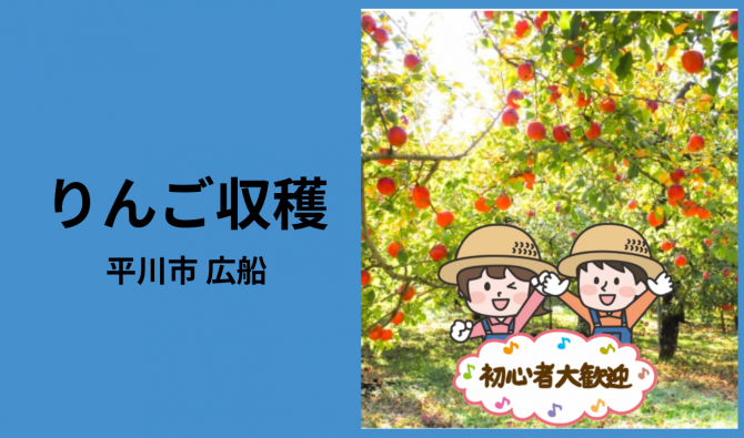 「「 アップルファーム・イリカさん」平川市 りんごの葉とり・収穫作業  10月お仕事カレンダー」のサムネイル