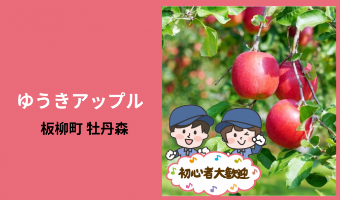 「「 ゆうきアップル さん」弘前市 りんごの袋剥ぎ・葉取り作業 9月のカレンダー」のサムネイル