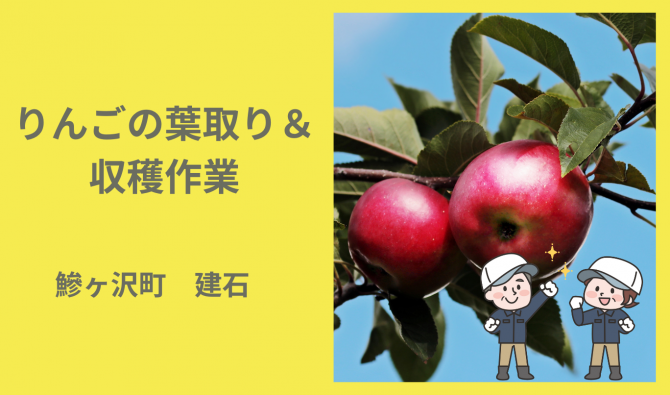 「「ヒバリ農園さん」鯵ヶ沢町  りんごの葉取り・収穫作業  9月お仕事カレンダー」のサムネイル