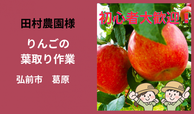 「「  田村農園さん」弘前市 リンゴ作業全般  10月お仕事カレンダー」のサムネイル