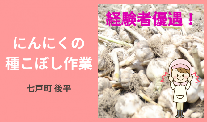 「「 八甲田農場さん」にんにく種こぼし作業 9月お仕事カレンダー」のサムネイル