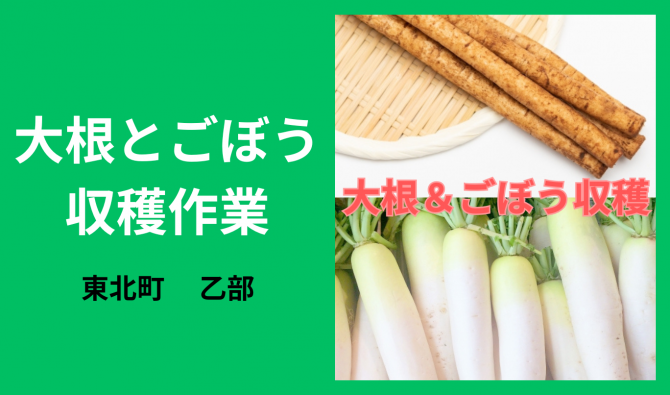 「「 乙部輝雄さん」東北町  大根とごぼうの収穫作業  10月お仕事カレンダー」のサムネイル