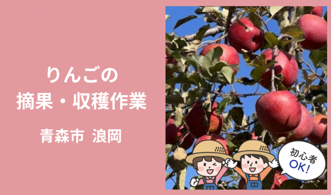 「「 鎌田農園(浪岡)さん」青森市浪岡　りんごの摘果＆収穫作業　9月お仕事カレンダー」のサムネイル