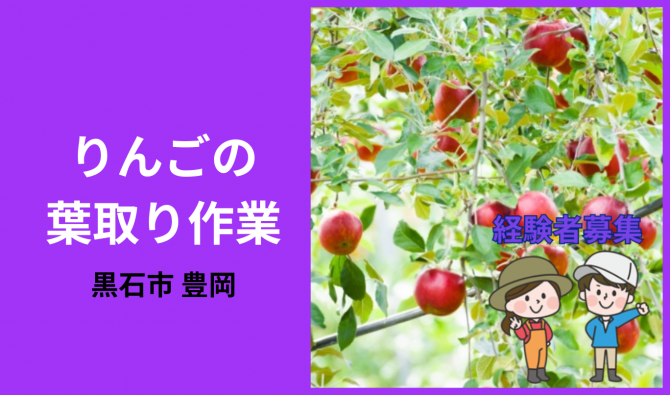 「「  鎌田林檎園さん」黒石市 りんごの葉取り作業  9月お仕事カレンダー」のサムネイル