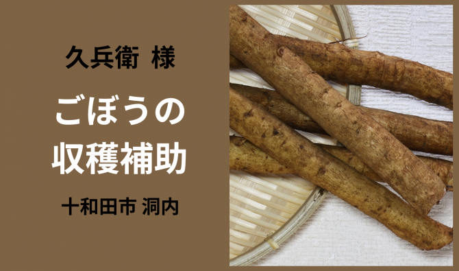 「「  久兵衛さん」十和田市 ごぼうの収穫補助作業  10月お仕事カレンダー」のサムネイル