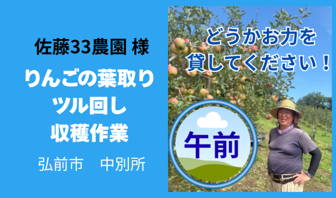 「「 佐藤３３農園さん」弘前市 りんごの葉取り・ツル回し・収穫作業 【午前中】 １０月お仕事カレンダー」のサムネイル