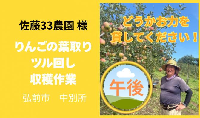 「「 佐藤３３農園さん」弘前市 りんごの葉取り・ツル回し・収穫作業 【午後】 １０月お仕事カレンダー」のサムネイル