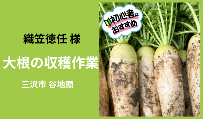 「「 織笠徳任さん」三沢市 大根の収穫＆畑の草取り作業＝終日＝ 10月お仕事カレンダー」のサムネイル