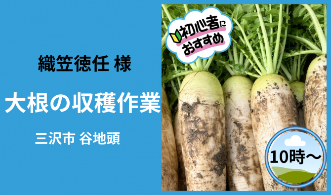 「「 織笠徳任さん」三沢市 大根の収穫＆畑の草取り作業＝10時＝ 10月お仕事カレンダー」のサムネイル