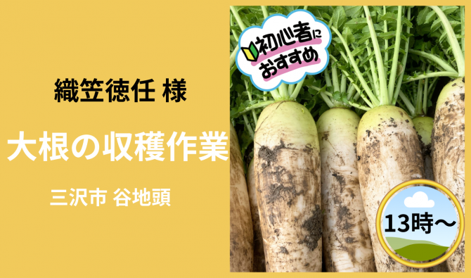 「「 織笠徳任さん」三沢市 大根の収穫＆畑の草取り作業＝13時＝ 10月お仕事カレンダー」のサムネイル