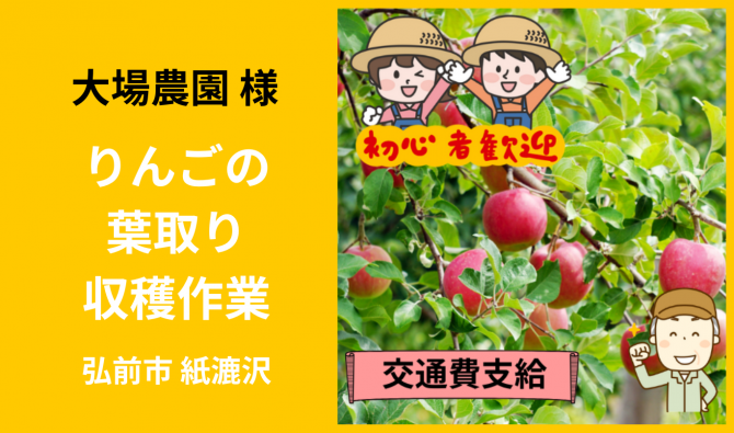 「「 大場農園さん」弘前市 りんごの葉取り・収穫作業 10月お仕事カレンダー」のサムネイル