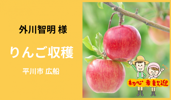 「「美味しい外川農園さん」平川市 りんごの葉取り・収穫作業  11月お仕事カレンダー」のサムネイル