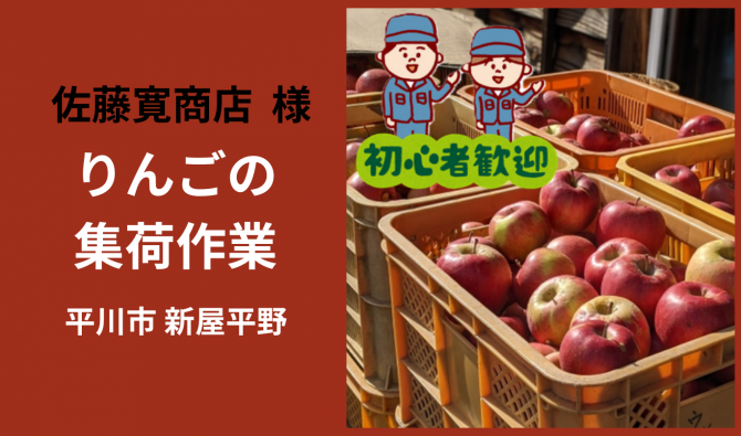「「 佐藤寛商店さん」弘前市 りんご袋詰め作業  11月お仕事カレンダー」のサムネイル