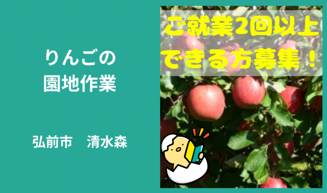 「「 ふみ丸ファーム さん」弘前市 りんごの葉取り作業  9月お仕事カレンダー」のサムネイル