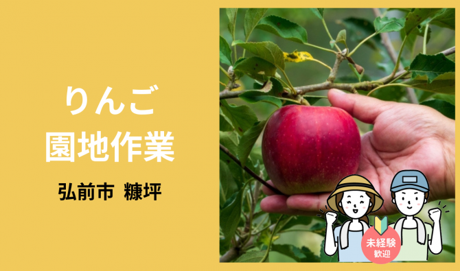 「「兜森聡さん」弘前市 りんごの収穫全般作業  10月のお仕事カレンダー」のサムネイル