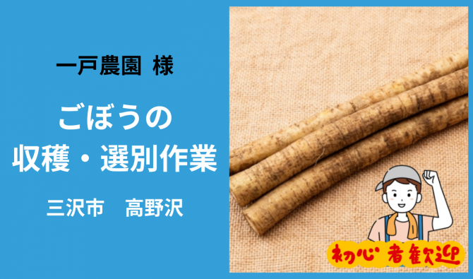 「「 一戸農園さん」三沢市 ごぼうの収穫作業  10月お仕事カレンダー」のサムネイル