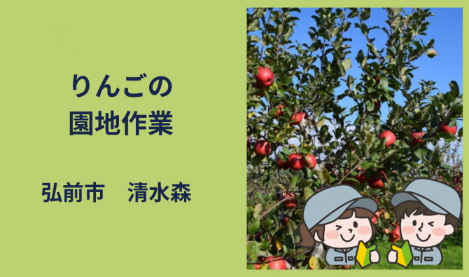 「「  大ちゃんファームさん」弘前市 りんご作業全般  9月お仕事カレンダー」のサムネイル