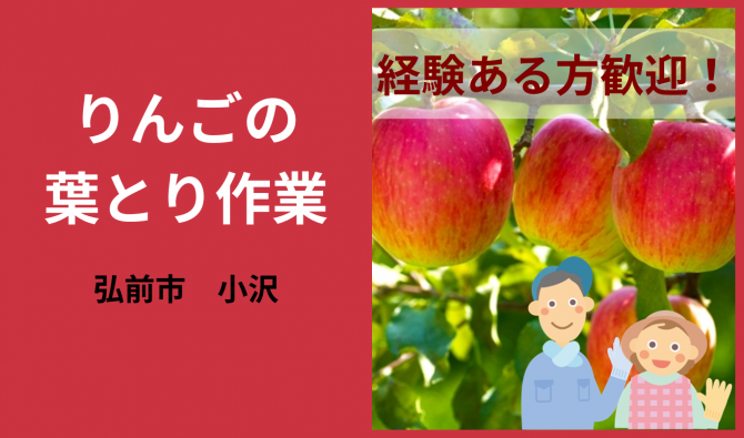 「「 石岡農園さん」弘前市 りんごの葉取り作業  10月お仕事カレンダー」のサムネイル