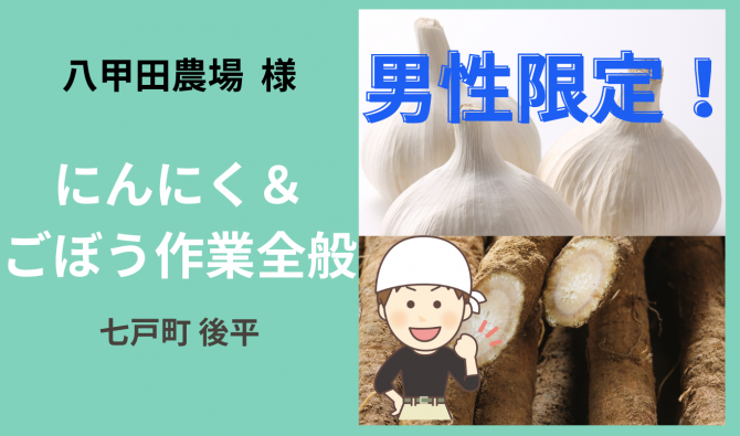 「「 八甲田農場さん」にんにく&ごぼう作業全般(男性限定) 10月お仕事カレンダー」のサムネイル