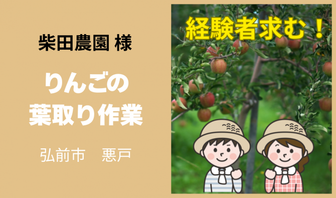 「「柴田農園さん」弘前市 りんごの葉とり作業 10月のお仕事カレンダー」のサムネイル