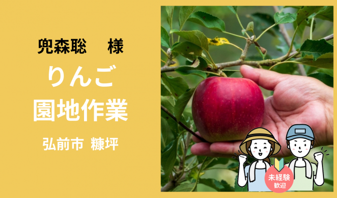 「「 兜森聡さん」弘前市 りんごの収穫全般作業 11月お仕事カレンダー」のサムネイル