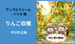 「「 アップルファーム・イリカさん」平川市 りんごの葉取り・収穫作業 11月お仕事カレンダー」のサムネイル