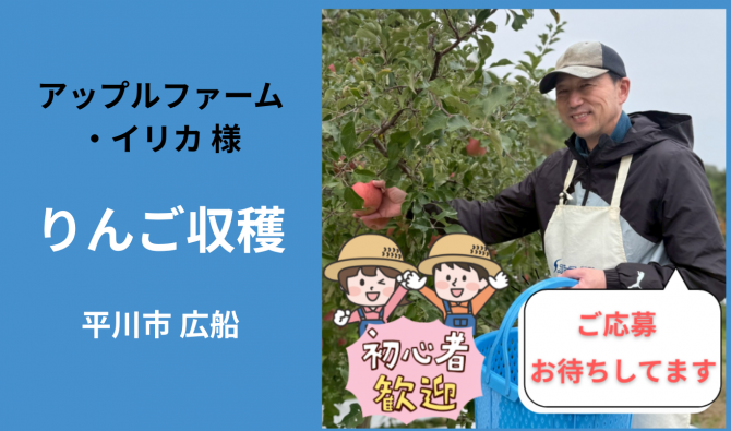 「「 アップルファーム・イリカさん」平川市 りんごの葉取り・収穫作業 11月お仕事カレンダー」のサムネイル