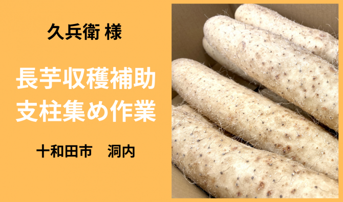 「「  久兵衛さん」十和田市 長芋収穫補助作業  11月お仕事カレンダー」のサムネイル
