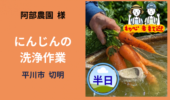 「「阿部農園さん」平川市 にんじん洗浄・収穫作業【半日】11月お仕事カレンダー」のサムネイル