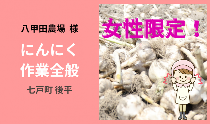 「「 八甲田農場さん」にんにく作業全般（女性限定） 10月お仕事カレンダー」のサムネイル