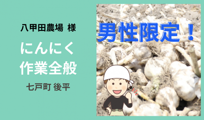 「「 八甲田農場さん」にんにく作業全般（男性限定） 10月お仕事カレンダー」のサムネイル