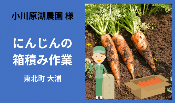 「「 小川原湖農園さん」東北町 にんじんの箱積み補助作業  11月お仕事カレンダー」のサムネイル