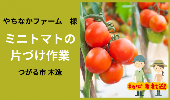 「「 やちなかファームさん」つがる市　ミニトマトの片づけ作業 10月お仕事カレンダー」のサムネイル
