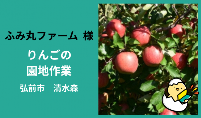 「「 ふみ丸ファーム さん」弘前市 りんごの葉取り作業 11月お仕事カレンダー」のサムネイル