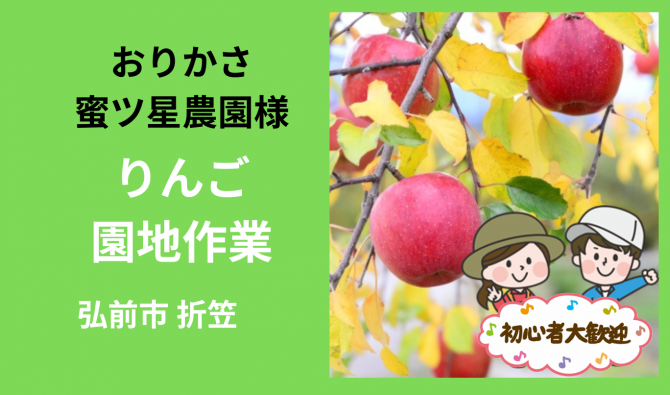 「「  おりかさ蜜ツ星農園さん」弘前市 りんご園地作業【初心者】  10月お仕事カレンダー」のサムネイル