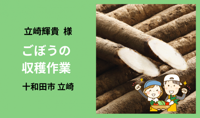 「「  立崎輝貴さん」十和田市　ごぼう収穫作業  10月お仕事カレンダー」のサムネイル