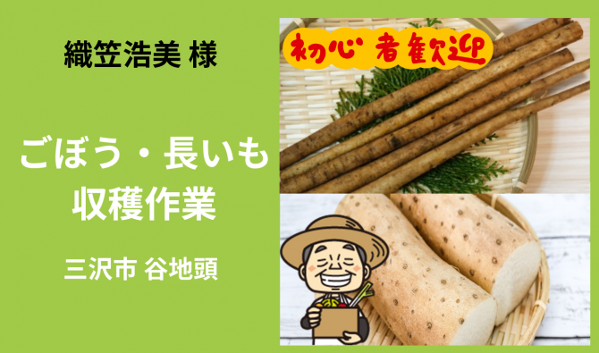 「「織笠浩美さん」 三沢市 ごぼうの収穫・選別、ながいも収穫作業  11月お仕事カレンダー」のサムネイル