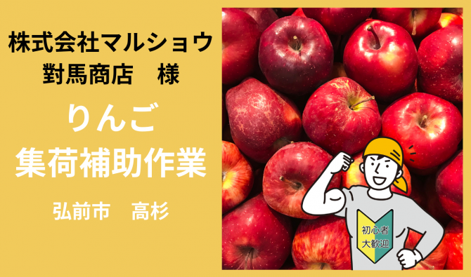 「「 株式会社マルショウ對馬商店さん」弘前市 りんごの集荷補助作業  11月お仕事カレンダー」のサムネイル