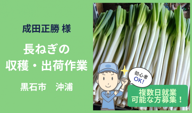 「「 成田正勝さん」黒石市  ねぎの収穫・出荷作業作業  10月お仕事カレンダー」のサムネイル