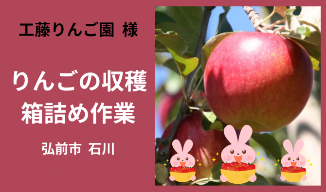 「「 工藤りんご園さん」弘前市 りんごの収穫・箱詰め作業 11月お仕事カレンダー」のサムネイル