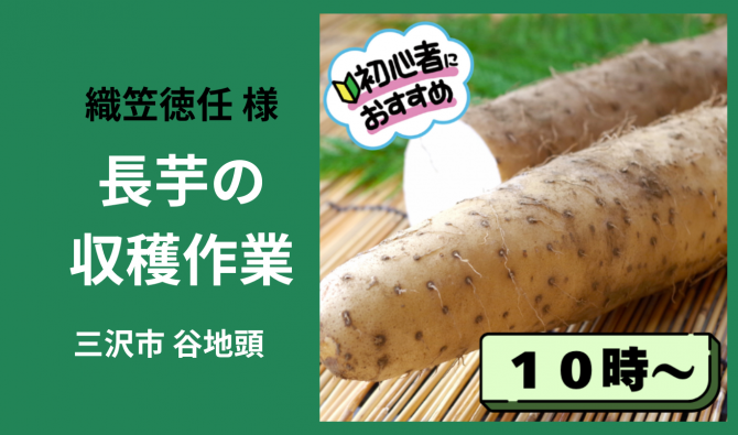 「「  織笠徳任さん」 三沢市 長芋の収穫作業補助 【10時】12月お仕事カレンダー」のサムネイル