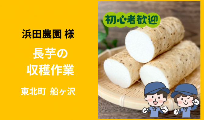 「「 浜田農園さん」東北町  長芋収穫作業  12月お仕事カレンダー」のサムネイル