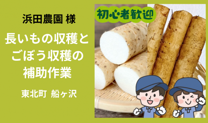 「「 浜田農園さん」東北町 ナガイモ・ゴボウ収穫作業 11月お仕事カレンダー」のサムネイル