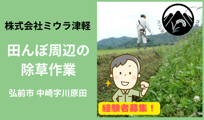 「「株式会社ミウラファーム津軽さん」弘前市 田んぼ周辺の除草作業  4月お仕事カレンダー」のサムネイル